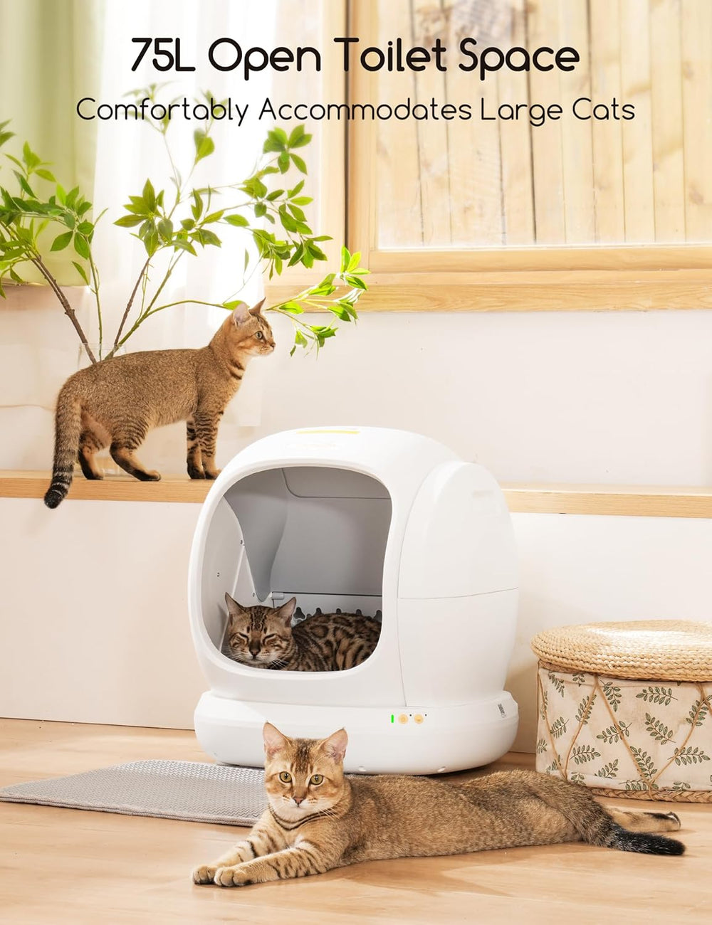 Meowant Self-Cleaning Cat Litter Box XXL (75L) – Automatic, with App & Safety Sensors