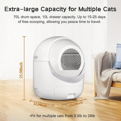 Smart Self-Cleaning Cat Litter Box with App – Odor Control & Safety System for Multi-Cat Households